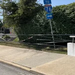 fence gates 4